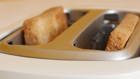 Toasted bread in white automatic  toaster close-up 4K footage