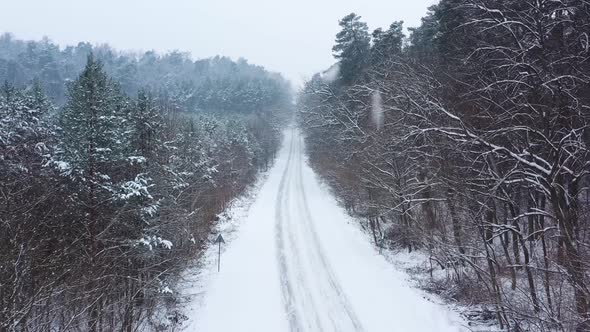 Flight Along the Road Surrounded By Trees in Snowfall