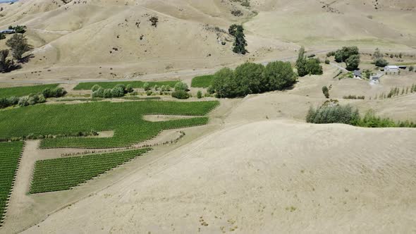 Drone drifts over dry wither hills to reveal a lush green vineyard in Marlborough, New Zealand