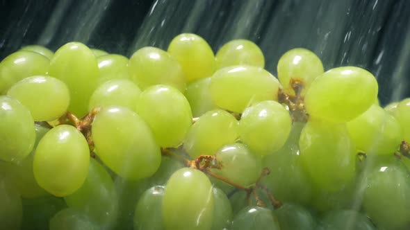 Juicy Green Grapes Get Washed In Water Spray