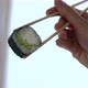 A Woman's Hand Dips Futomaki with Cucumber in Soy Sauce - VideoHive Item for Sale