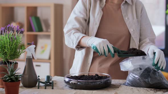 Woman Planting Pot Flowers at Home