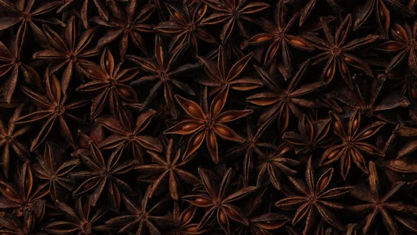 Dry Star anise spice top view, rotation. 4K UHD video