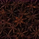 Dry Star anise spice top view, rotation. 4K UHD video - VideoHive Item for Sale