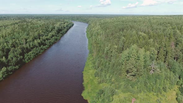 Forest River in the Summer Taiga From a Height of Flight