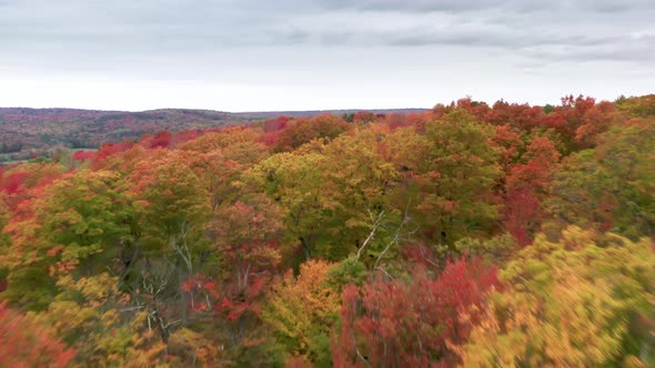 Bright Red Yellow Orange and Green Autumn Leaves Background Fall in Vermont