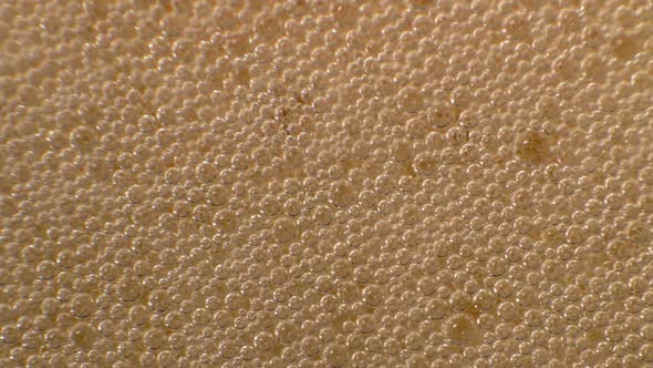 Small Beer Bubbles Macro