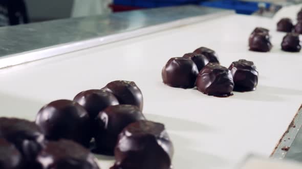 Conveyor Belt with Freshlymade Chocolate Candies