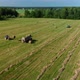 Harvesting Hay - VideoHive Item for Sale