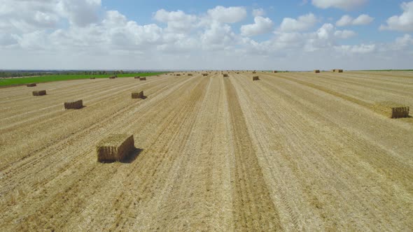 Straw Fields At Sdot Negev Settlement, Israel