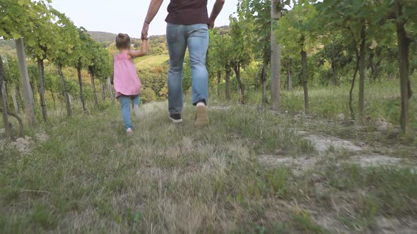 Slow motion shot of father and daughter running in vineyard