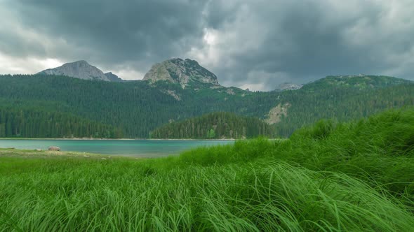 Beautiful Alpine Mountain Lake Gosausee with Green Grass View and Cloudy Sky in Austria Alps