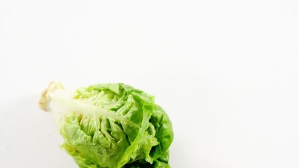 Close-up of lettuce