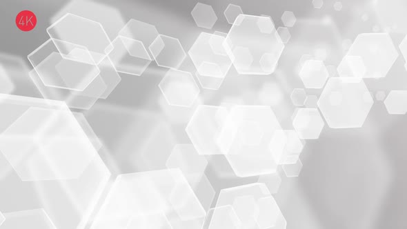 Soft White Hexagons Background 4 alt