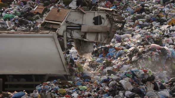 Unsorted trash. Landfill background.