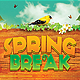 Spring Break Party Flyer - GraphicRiver Item for Sale