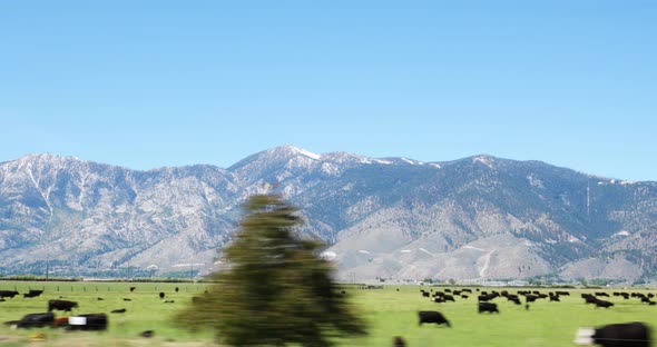 View from car driving through countryside