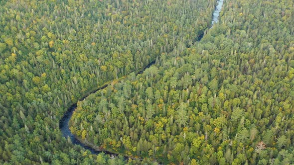 Drone footage flying along a winding river in the forest in the morning.