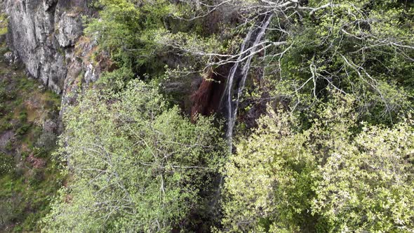 Barbelote waterfall, Monchique, Algarve. Amazing green vegetation and cliffs