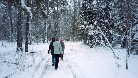 People Walk Along Beaten Path in Park in Snowy Winter