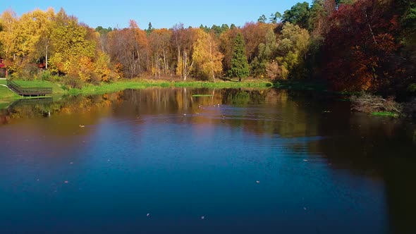 Colorful Autumn Forest Wood on the Lake