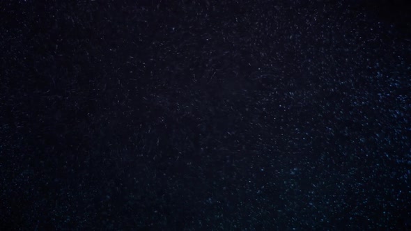 Slow Moving Blue Particles on Black Background