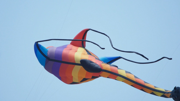 Colorful Ray Kite