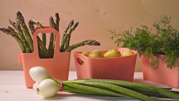 Spring Young Vegetables in Coral Containers on Wooden Table