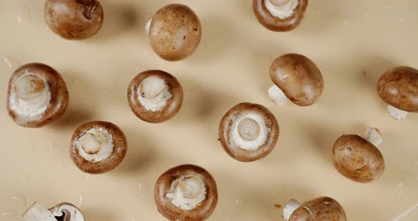 Fragrant Forest Mushrooms Slowly Rotate. 