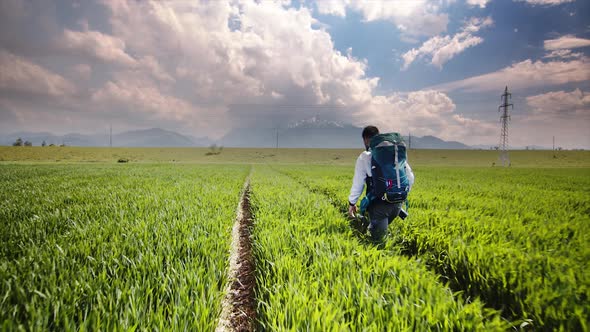 Wheat Field Traveler