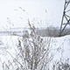 Post-Apocalyptic Winter 3 - VideoHive Item for Sale