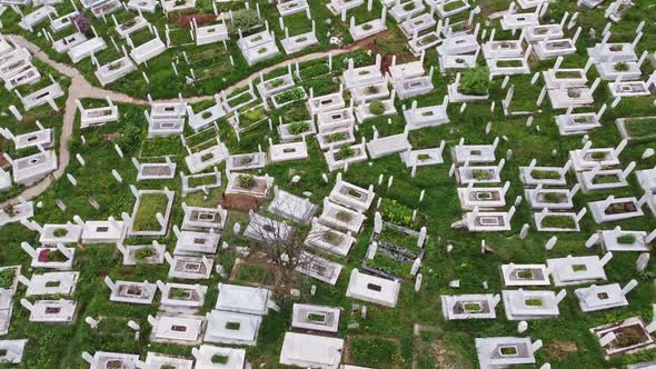 The Muslim Cemetery V3 alt