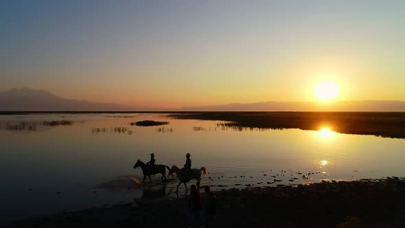 Couple Walking and Horse in Nature