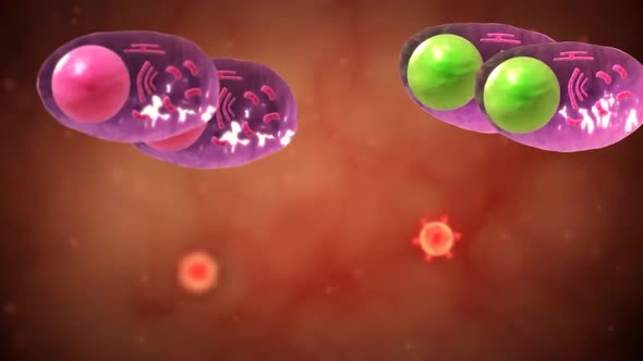 Conceptual Visualization Of Cell Nucleus.