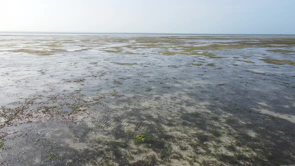 Zanzibar Tanzania  Low Tide in the Ocean Near the Shore