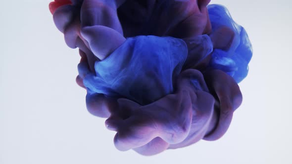 Colorful Nacreous Paint in Water Against White Background. alt