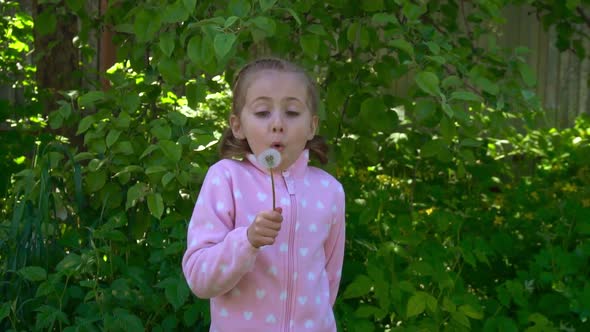 A Little Girl Blows a Dandelion in Nature