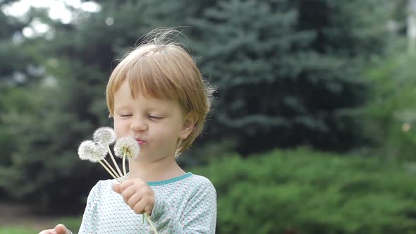 Little Curly Girl Playing with Dandelion, Slow Motion