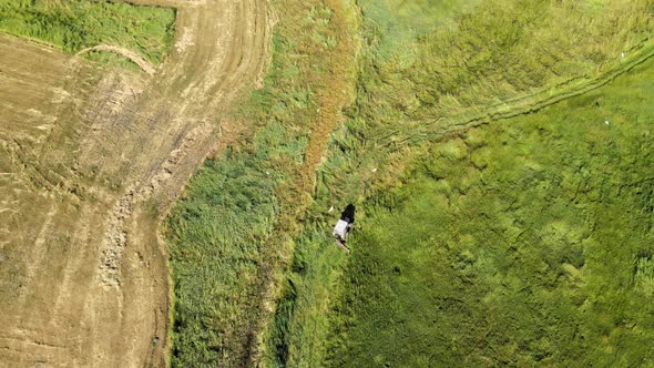 aerial tractor working