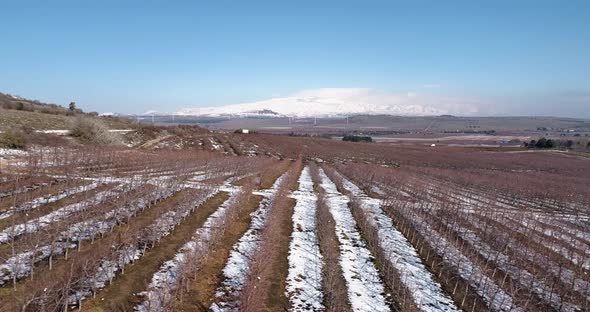 Aerial view of a dry vineyard in the snow, Golan Heights, Israel.