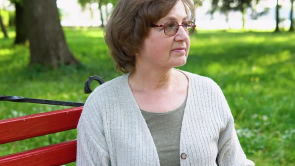 Portrait of Beautiful Senior Woman Sitting on a Bench in Park Looking at Camera and Happily Smiling