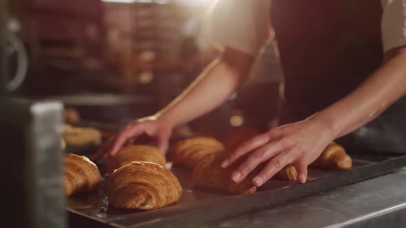 Animation of hands of asian female baker arranging croissants on tray