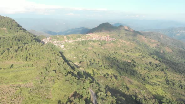 aerial view of tea plantation on hill and tea pickers village on ridge in dramatic green valley 