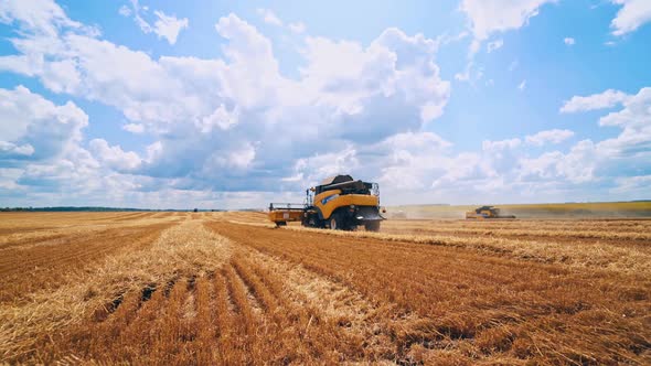 Combine harvesting wheat. Combine harvester agricultural machine riding in the field of golden ripe 