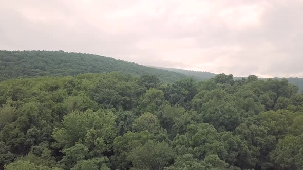 Drone flying forward over trees and forest in the Smoky Mountains in eastern Tennessee during a clou