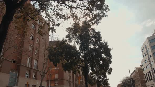 Street with Trees at Sunset City Houses Flats