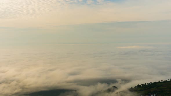 Fog Nature Landscape