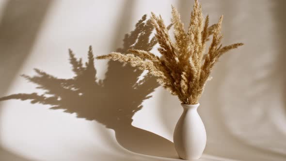 Golden Dried Flowers are in a Vase