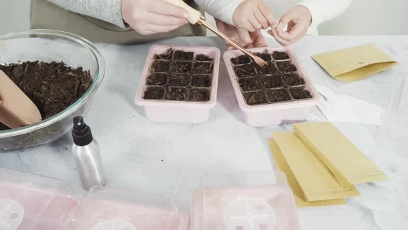 Little girl helping planting seeds in seed propagator with soil.