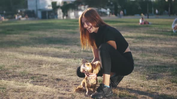 Young Beautiful Woman in the Park with Her Funny Longhaired Chihuahua Dog